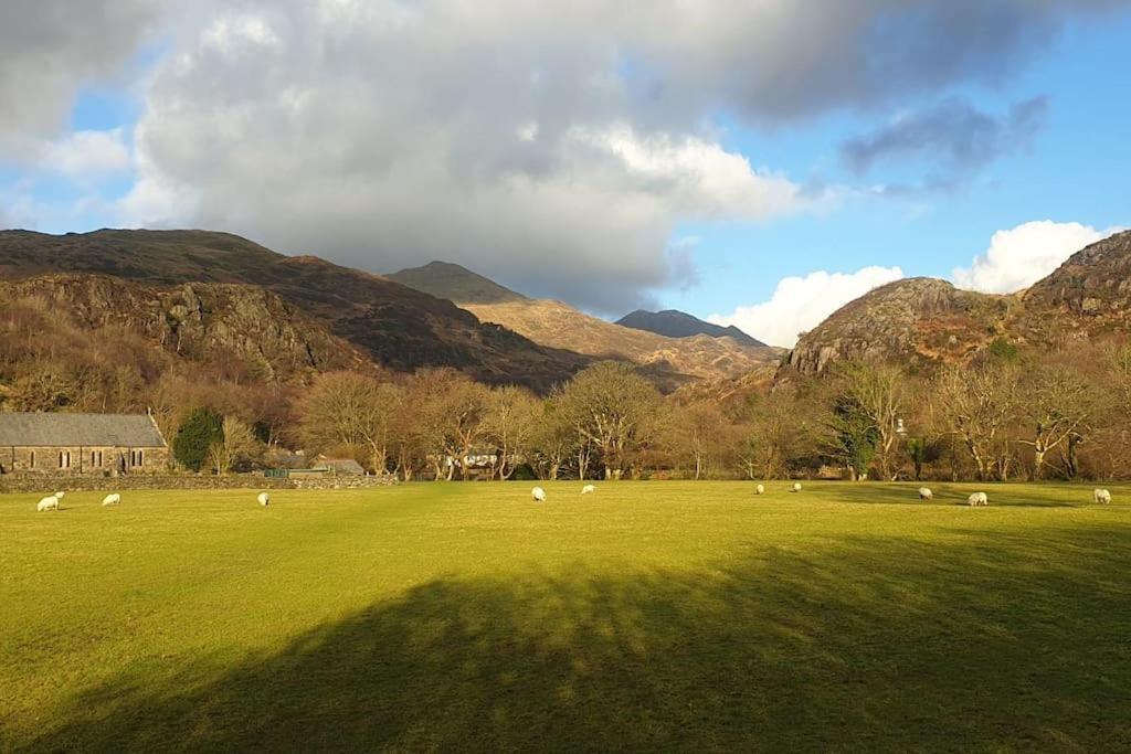 Cosy Cottage In Snowdonia Brynkir المظهر الخارجي الصورة