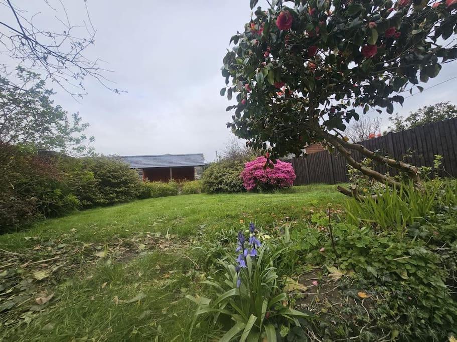 Cosy Cottage In Snowdonia Brynkir المظهر الخارجي الصورة